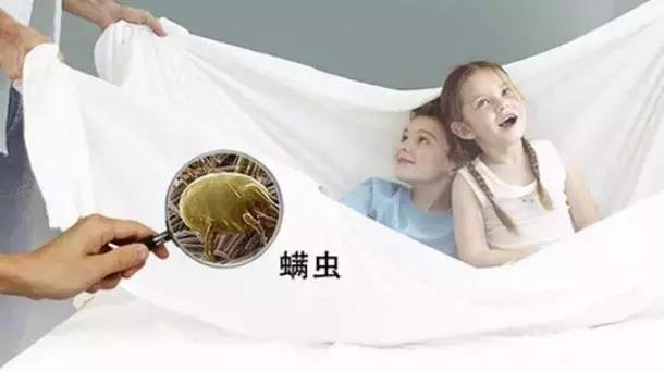 寻意空间：减少家居螨虫堆积，从源头上除螨虫